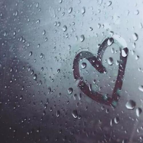 สมาชิกหมายเลข 4790952