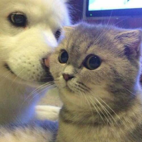 สมาชิกหมายเลข 4876473