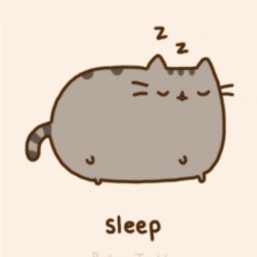 สมาชิกหมายเลข 5205905