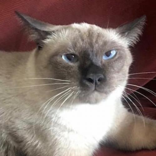 สมาชิกหมายเลข 5619677