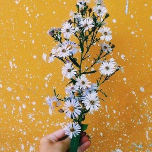 สมาชิกหมายเลข 5620037