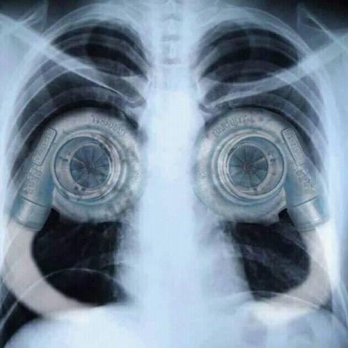 สมาชิกหมายเลข 5620061