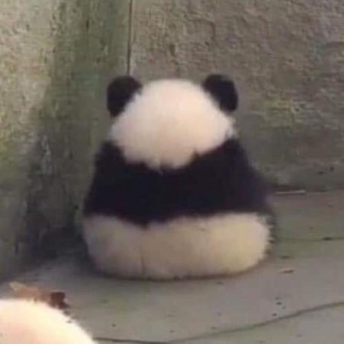 สมาชิกหมายเลข 6828947