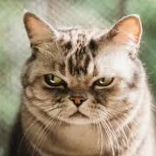 สมาชิกหมายเลข 1959903