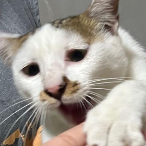 สมาชิกหมายเลข 7355616