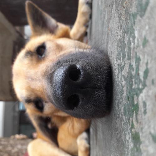 สมาชิกหมายเลข 7410995