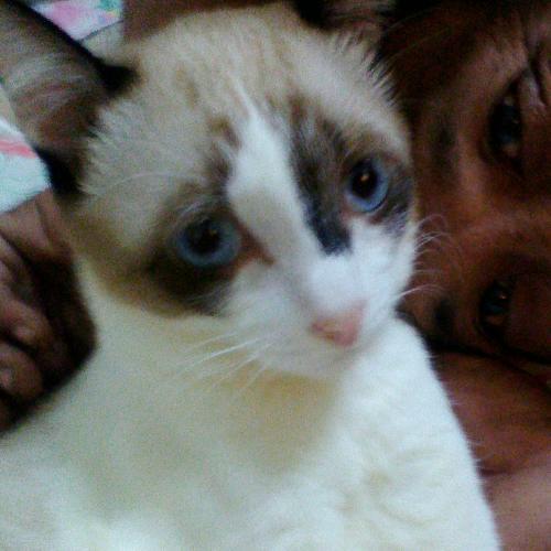 สมาชิกหมายเลข 4821403