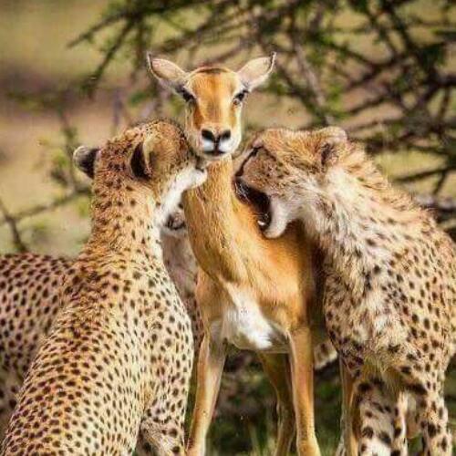 สมาชิกหมายเลข 4821569