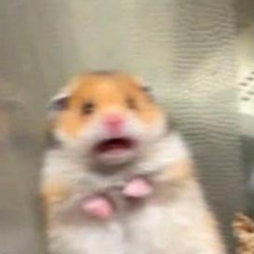 สมาชิกหมายเลข 5321050