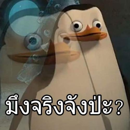 สมาชิกหมายเลข 5620450