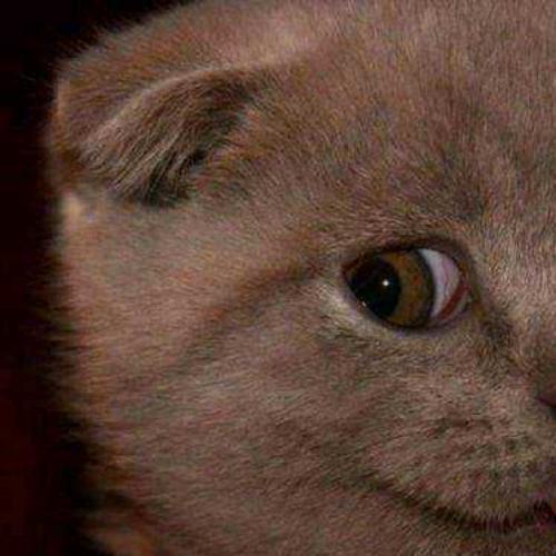 สมาชิกหมายเลข 6078892