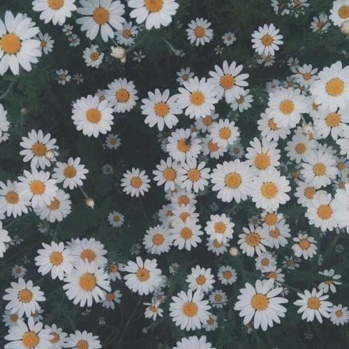 สมาชิกหมายเลข 6188225