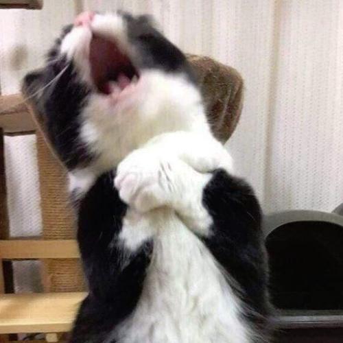 สมาชิกหมายเลข 6486675