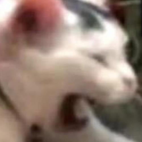 สมาชิกหมายเลข 6815528