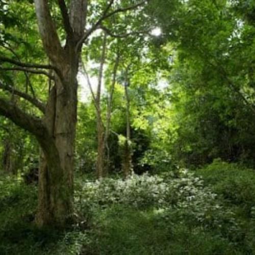 สมาชิกหมายเลข 6829542