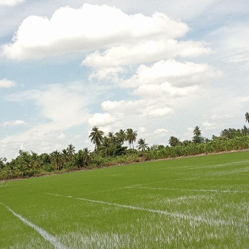 สมาชิกหมายเลข 3028207