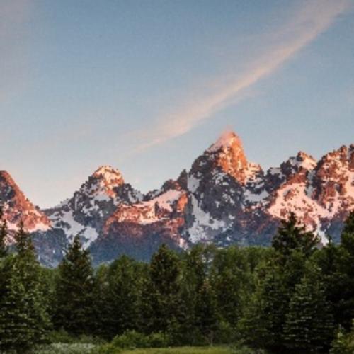 สมาชิกหมายเลข 3652173