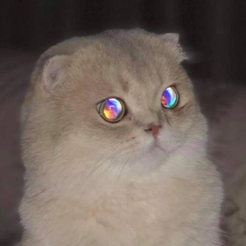 สมาชิกหมายเลข 5045719