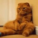 สมาชิกหมายเลข 2384739