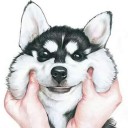 สมาชิกหมายเลข 3996025