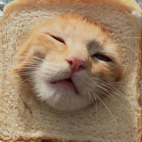 สมาชิกหมายเลข 5618736