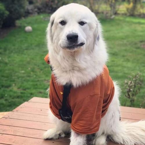 สมาชิกหมายเลข 5620896