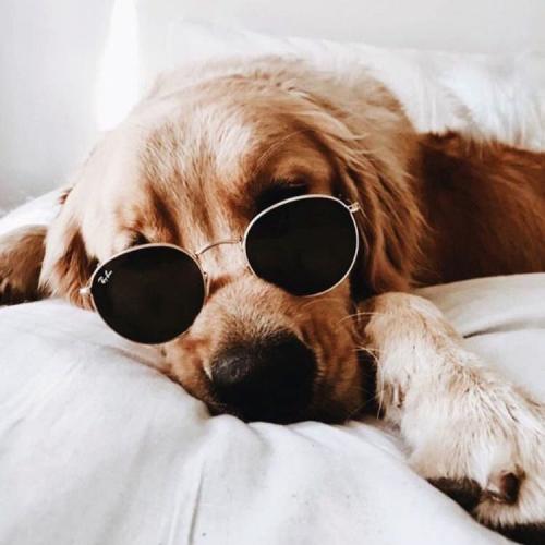 สมาชิกหมายเลข 3848930