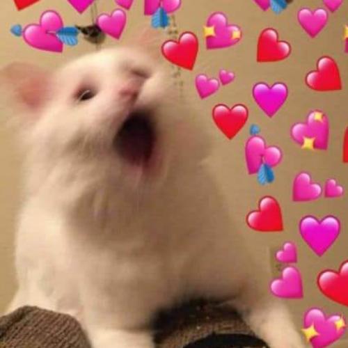 สมาชิกหมายเลข 6188759