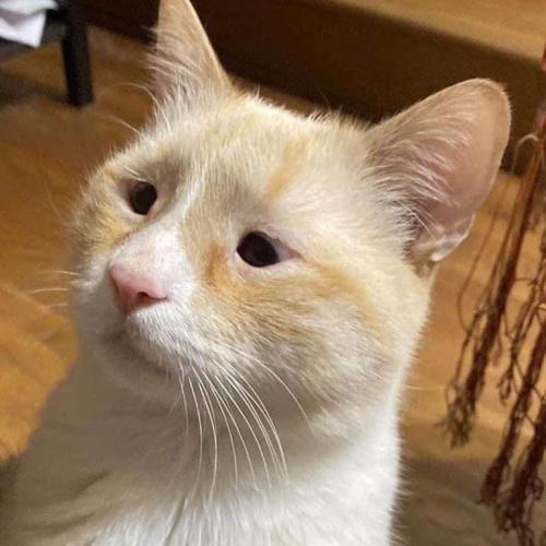 สมาชิกหมายเลข 6188981