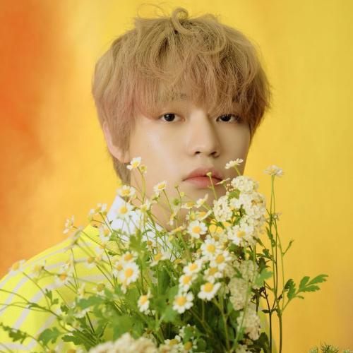 สมาชิกหมายเลข 6733304