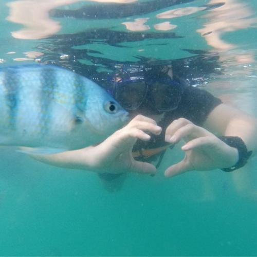 สมาชิกหมายเลข 6830639