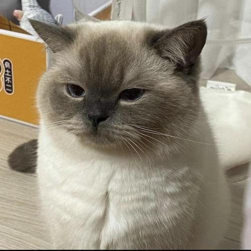 สมาชิกหมายเลข 6675049