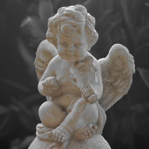 สมาชิกหมายเลข 7139166