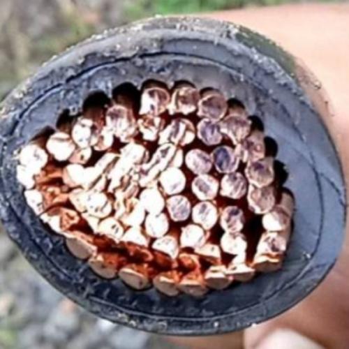 สมาชิกหมายเลข 7518460