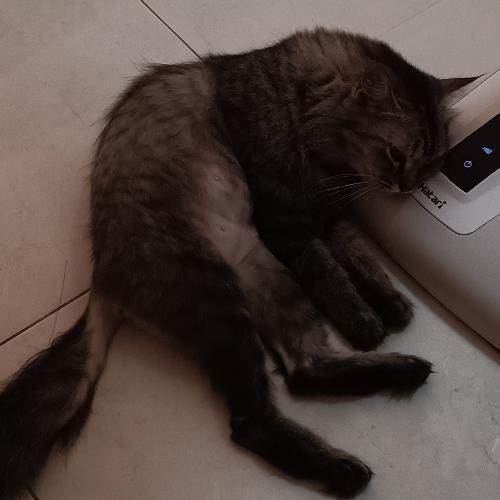 สมาชิกหมายเลข 7778069