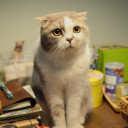 สมาชิกหมายเลข 4490364