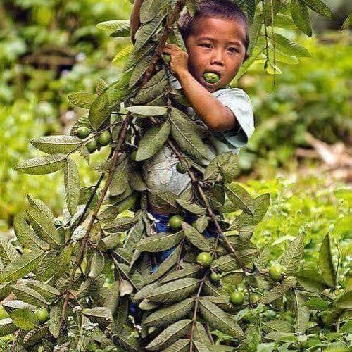 สมาชิกหมายเลข 4822061