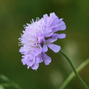 สมาชิกหมายเลข 3966510