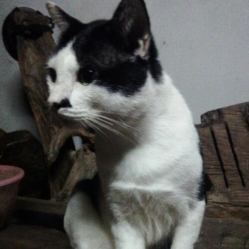 สมาชิกหมายเลข 5206295