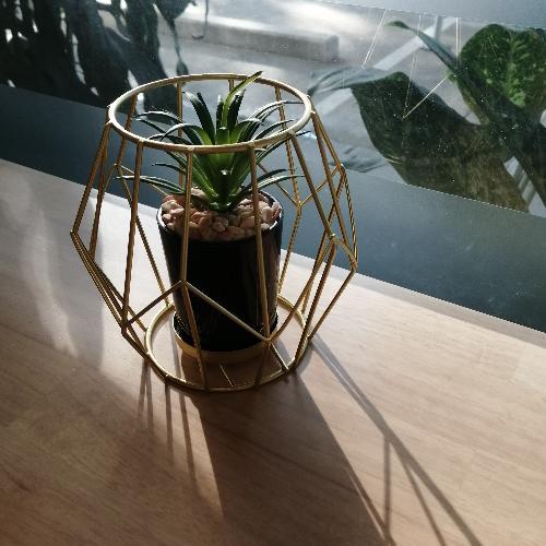 สมาชิกหมายเลข 1970088