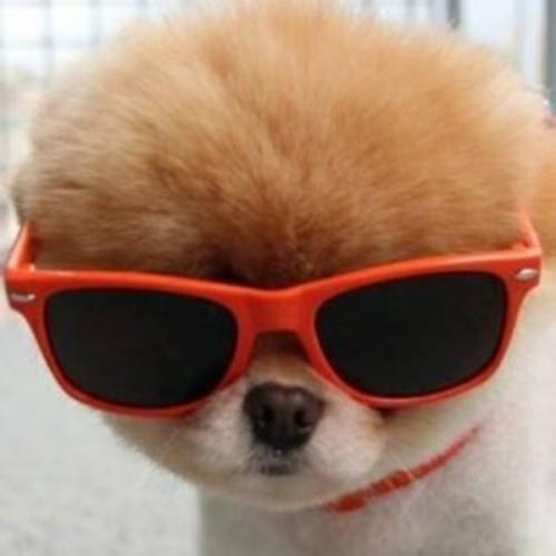 สมาชิกหมายเลข 5590697