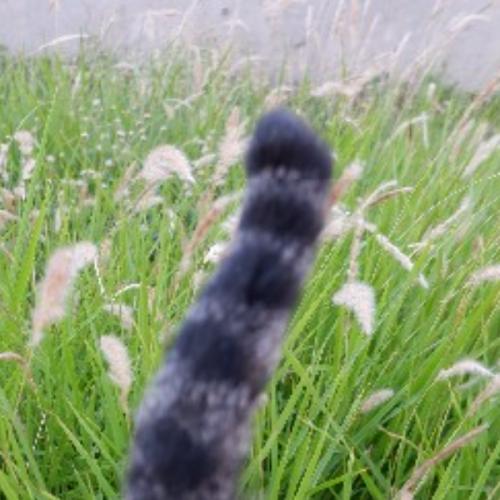 สมาชิกหมายเลข 6057711