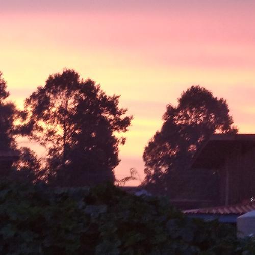 สมาชิกหมายเลข 6189082