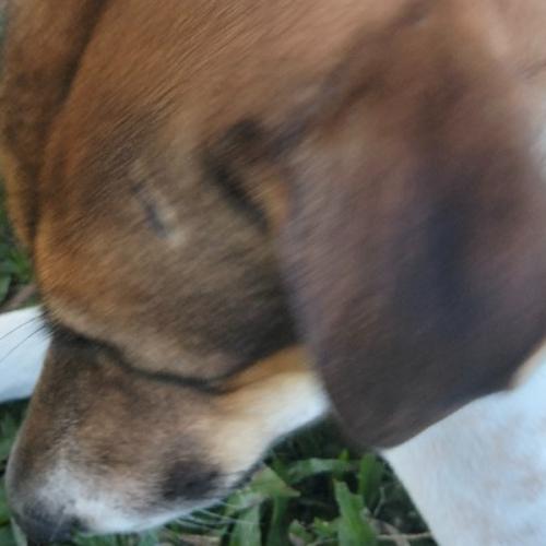 สมาชิกหมายเลข 6521054