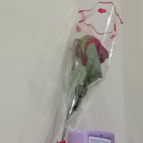 สมาชิกหมายเลข 8083829