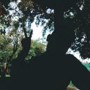 สมาชิกหมายเลข 2008913