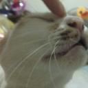 สมาชิกหมายเลข 4028787