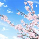 สมาชิกหมายเลข 4490626