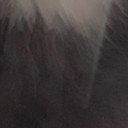 สมาชิกหมายเลข 4491003