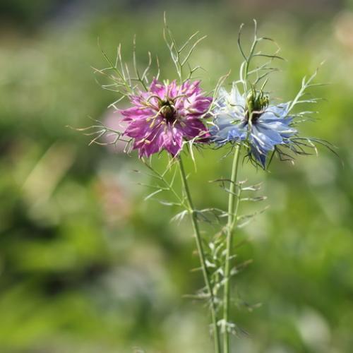 สมาชิกหมายเลข 4822118